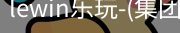 LEWIN乐玩